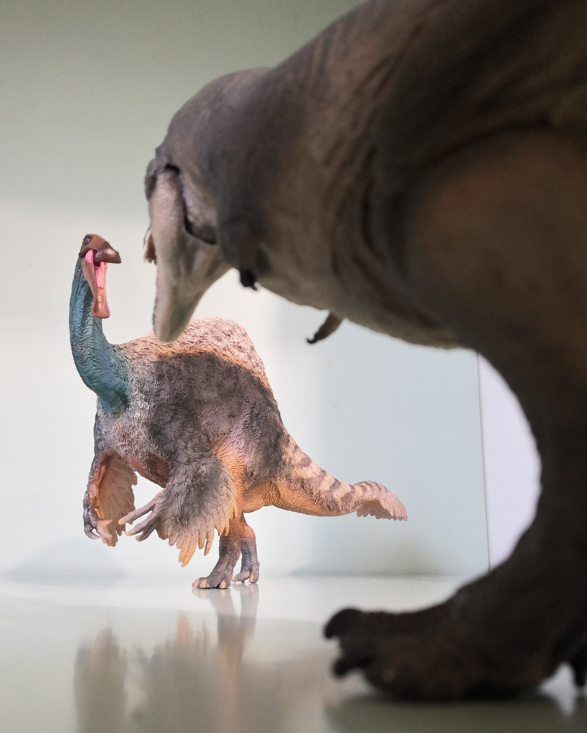 Resolving the long-standing enigmas of a giant ornithomimosaur Deinocheirus  mirificus