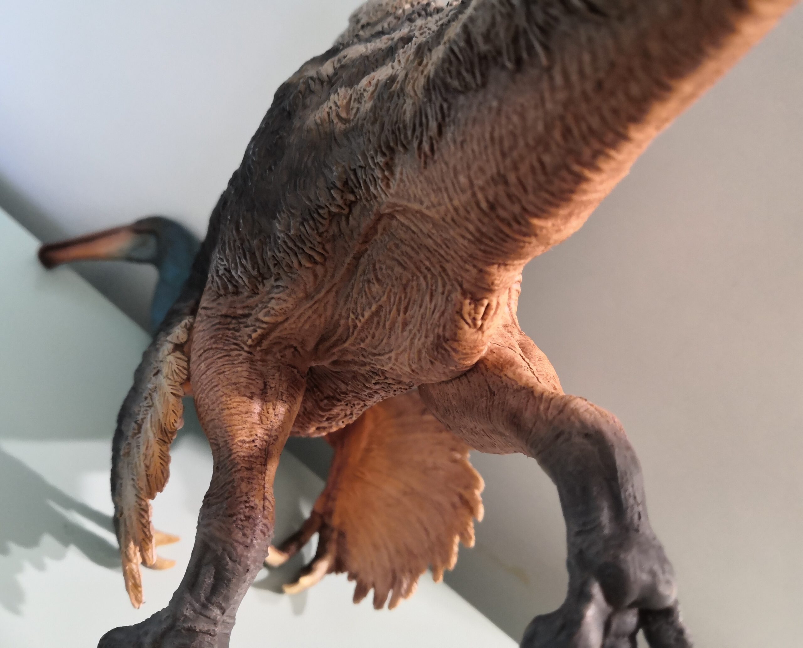 Deinocheirus mirificus, no longer an enigma